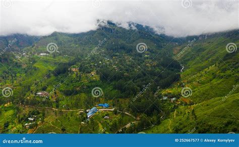 Farming And Growing Plants In Rural Areas Of Sri Lanka Stock Image