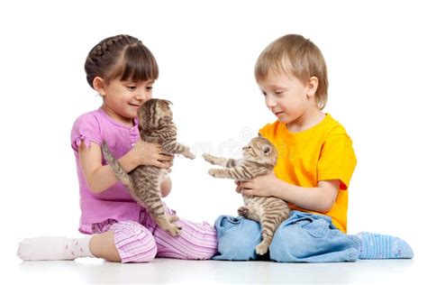 Cute Children Playing With Kittens Royalty Free Stock Photography ...