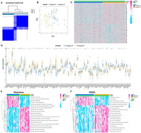 Ijms Free Full Text Recurrent Implantation Failure Bioinformatic