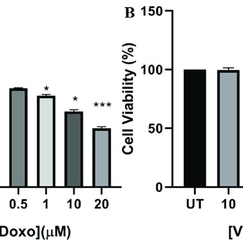 Effect Of Doxo And Vanillin On Cell Viability Cell Viability Was