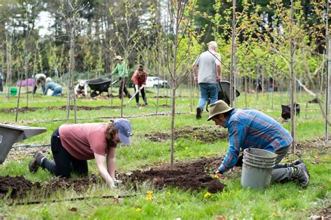 Bob Treeplanting Branch Out Burlington