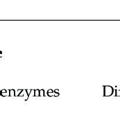 Advantages and disadvantages of the hydrothermal process. | Download ...