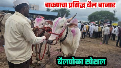 🛑 Live चाकणचा बैल बाजार बैलपोळा स्पेशल दि 24082024chakan Bail Bajar