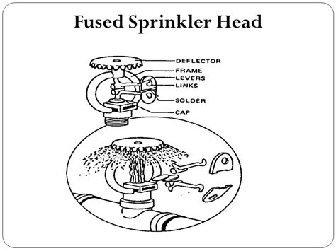 Sprinkler Drawing at GetDrawings.com | Free for personal use Sprinkler ...