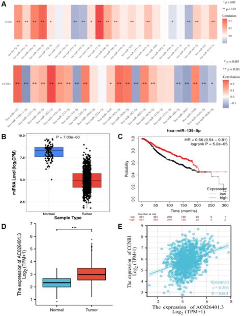 High Expression Of CCNB1 Driven By NcRNAs Is Associated With A Poor