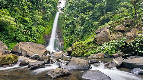 Gitgit Waterfall Bali - Visitor Guide & Things You Need to Know