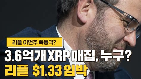 리플 비트코인 이더리움 3억 6천만 Xrp 매집 포착 “리플 133달러 도달” Youtube