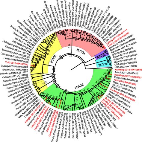 Phylogenetic Analysis Based On Complete Genome Sequences Obtained In