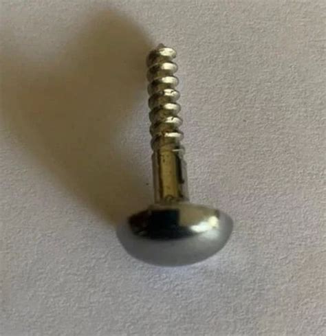 Round Button Head Ss Mirror Screw Size Mm L At Best Price In