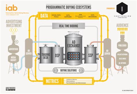 Learn All About Programmatic Buying MDirector