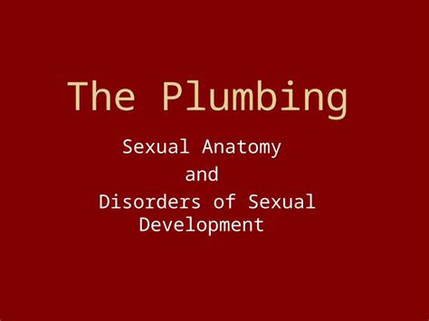 Ppt The Plumbing Sexual Anatomy And Disorders Of Sexual Development Dokumen Tips