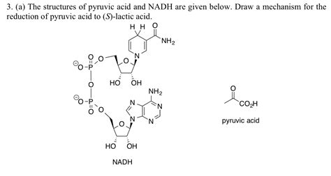 Solved 3 A The Structures Of Pyruvic Acid And NADH Are Chegg