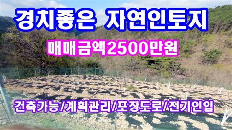 싼땅급매 조용한 오지땅자연인토지매매 Youtube