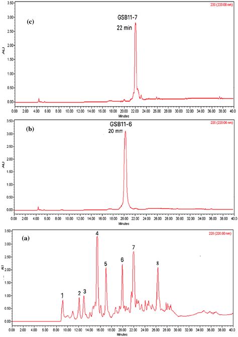 Hplc Purification Procedure For The Active Compounds Produced By The Download Scientific