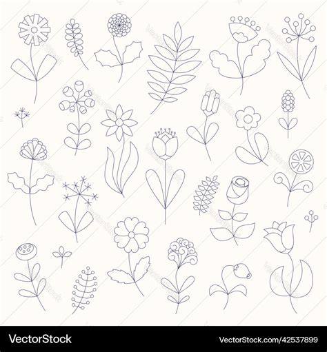 Flower Line Art Set Minimalist Contour Drawing Vector Image