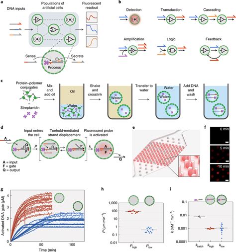 Design elements for BIO-PC a, General strategy of the BIO-PC platform ...