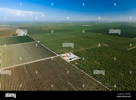 Aerial View Of Farmland In Central Valley Fresno California Usa