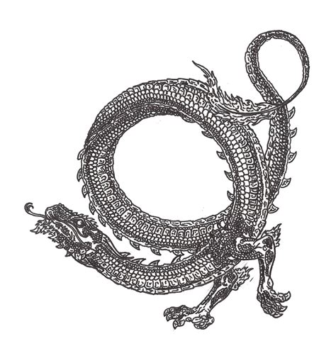 Circle Dragon Transparent Png Png Play