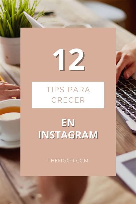 12 Tips Para Crecer En Instagram Ganar Seguidores En Instagram