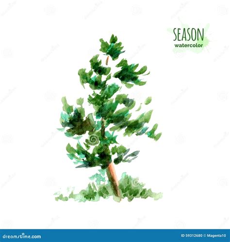 Albero Di Estate Dell Acquerello Illustrazione Vettoriale