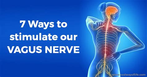 7 Ways To Stimulate Our VAGUS NERVE Improve Our Emotional Responses