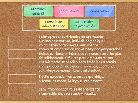 Las Partes Que Integran Una Cooperativa Match Up