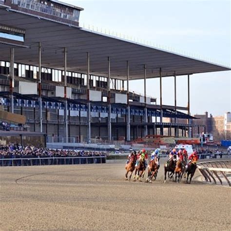 Aqueduct Racetrack Picks | Horse Race Handicapping