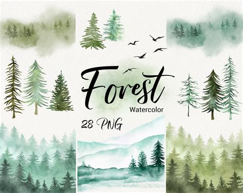 Watercolor Forest Tree Clipart Pine Tree Clipart Woodland Pine Trees Forest Landscape