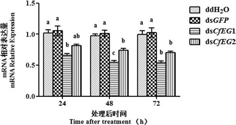 台湾乳白蚁内切葡聚糖酶基因的dsRNA及其应用的制作方法