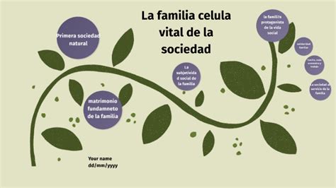 Familia Celula Vital De La Sociedad By Regina Figueroa Interiano On Prezi