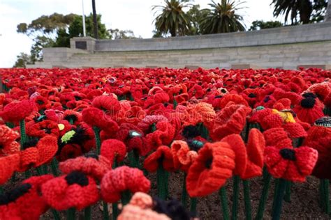 Poppies Laid In Front Of The State War Memorial Kings Park Perth