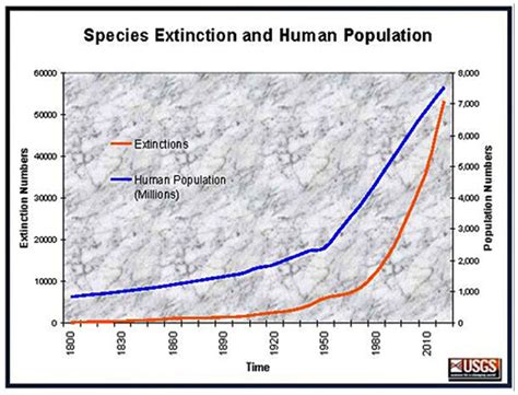 Montclair High School Bio Blog: Biggest species extinction since dinosaurs