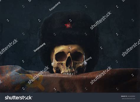 Skull Russian Ushanka Flag Stock Photo 242428282 Shutterstock