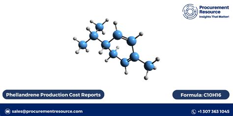 understanding  phellandrene production process