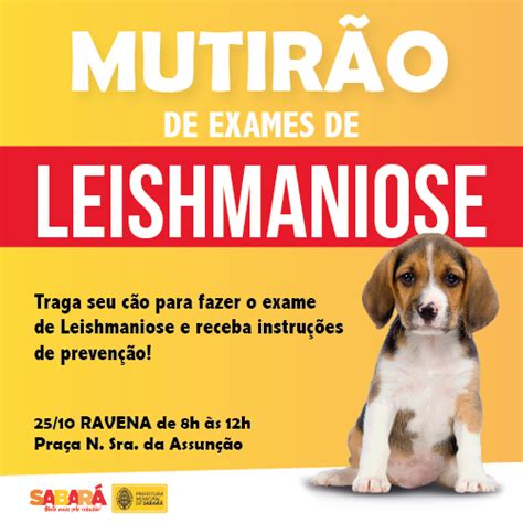 EXAMES DE LEISHMANIOSE EM RAVENA Prefeitura de Sabará