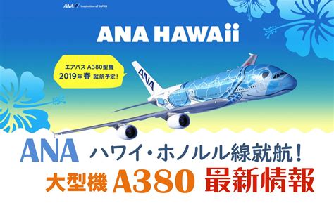 セットで Ana全日本空輸 ホヌ ラニカイa380機ホノルルの通販 By ショッピング男子s Shop｜エーエヌエーゼンニッポンクウユ