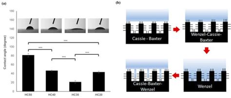 Poly Hema Co Mma Hydrogel Scaffold For Tissue Engineering With