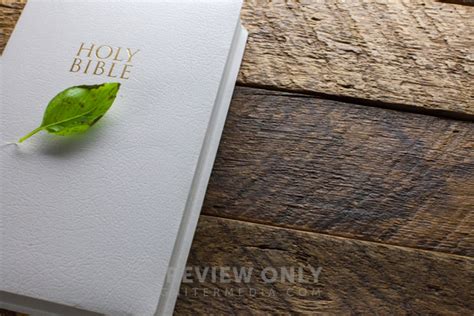 A Green Leaf On A White Bible On A Wooden Table Stock Photos Pearl