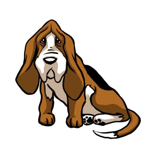 How To Draw A Basset Hound 8 Steps With Pictures Wikihow