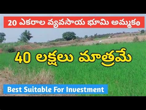 Acers Agriculture Land For Sale Lakhs Only Very Low Price