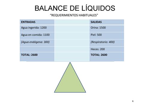 Balance De Liquidos 9