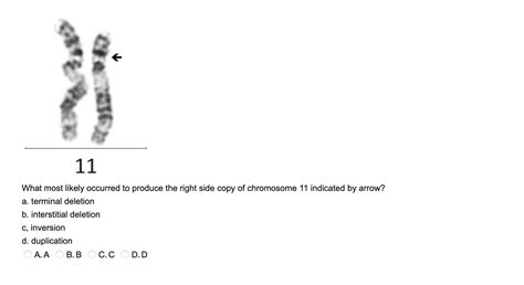 Solved 11 What most likely occurred to produce the right | Chegg.com