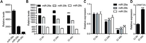 The Expression Levels Of 29a B C And DNMT3A During CI Stage A The