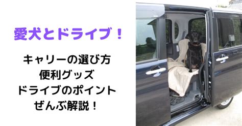 愛犬と快適にドライブできる【キャリードライブボックス】徹底解説｜らふぁブログ