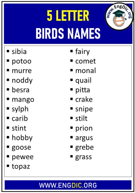 5 Letter Birds Names List - EngDic