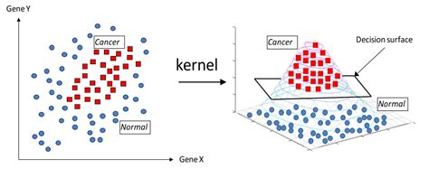 9 9 Linear SVMs For Non Linear Classification Machine Learning In