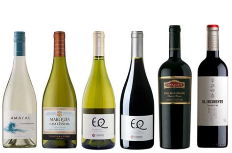 Top Chilean Wines To Drink Now Decanter