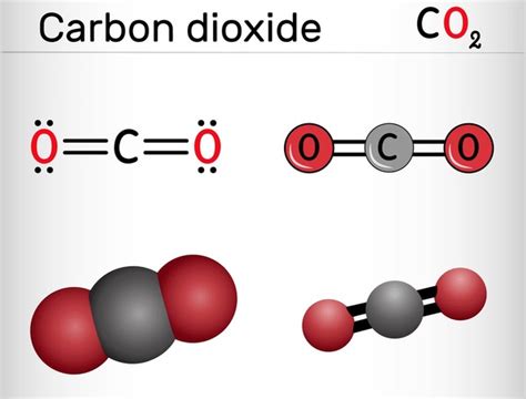 2+ Thousand Carbon Dioxide Drawing Royalty-Free Images, Stock Photos ...