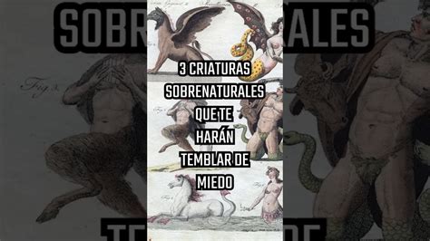 Criaturas Sobrenaturales Que Te Har N Temblar De Miedo Paranormal