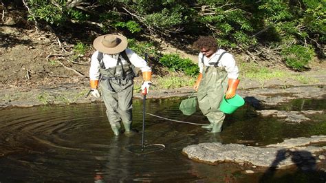 Electrofishing Equipment: How to set electro fishing backpack features ...